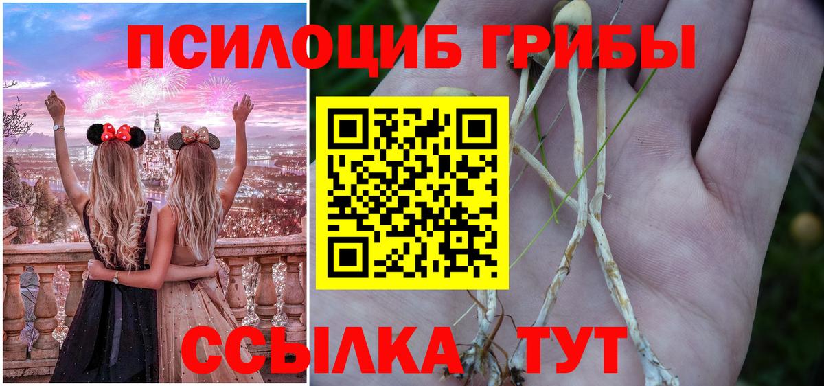 Южно-Сахалинск  Псилоцибиновые грибы мицелий  Вход с VPN  Псилоцибиновые грибы мицелий 
