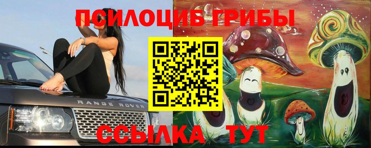 Галлюциногенные грибы Psilocybine cubensis Южно-Сахалинск